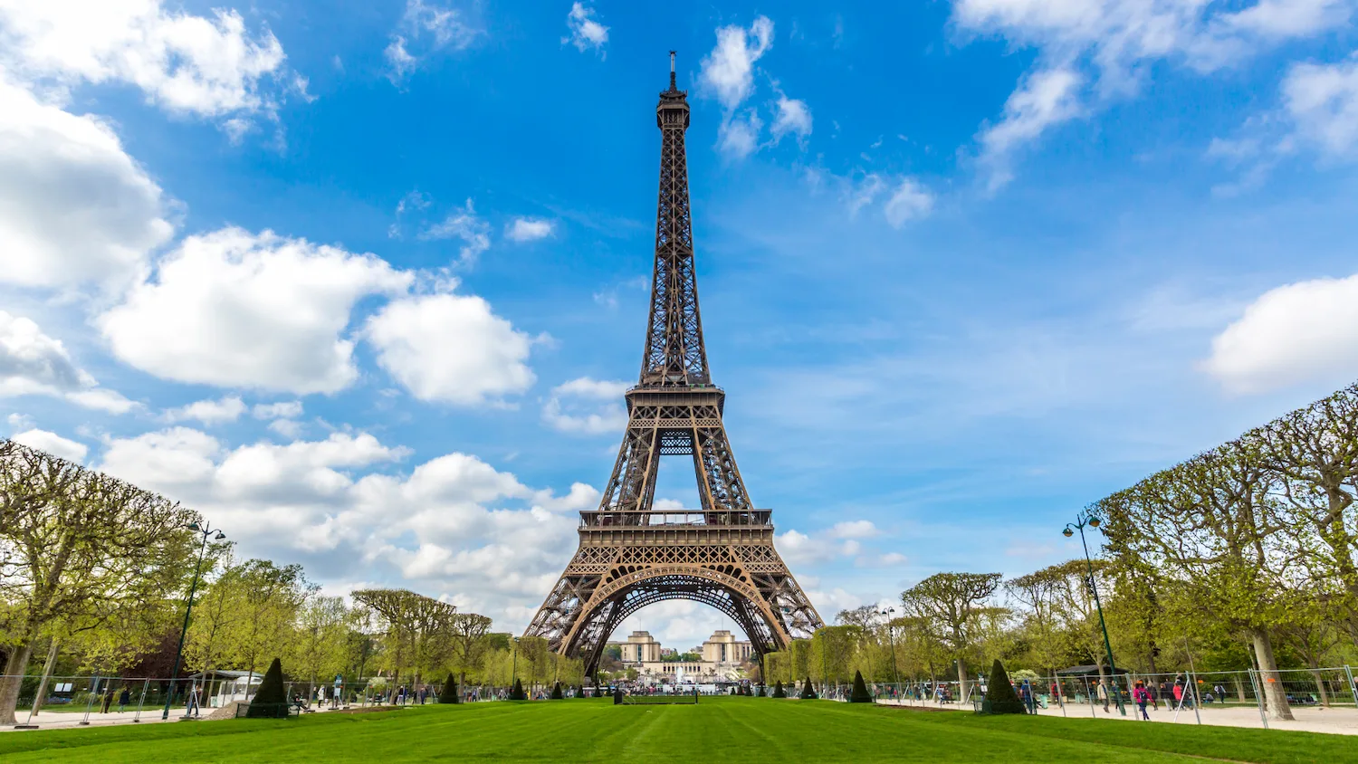 French classes through engaging and interactive live lessons